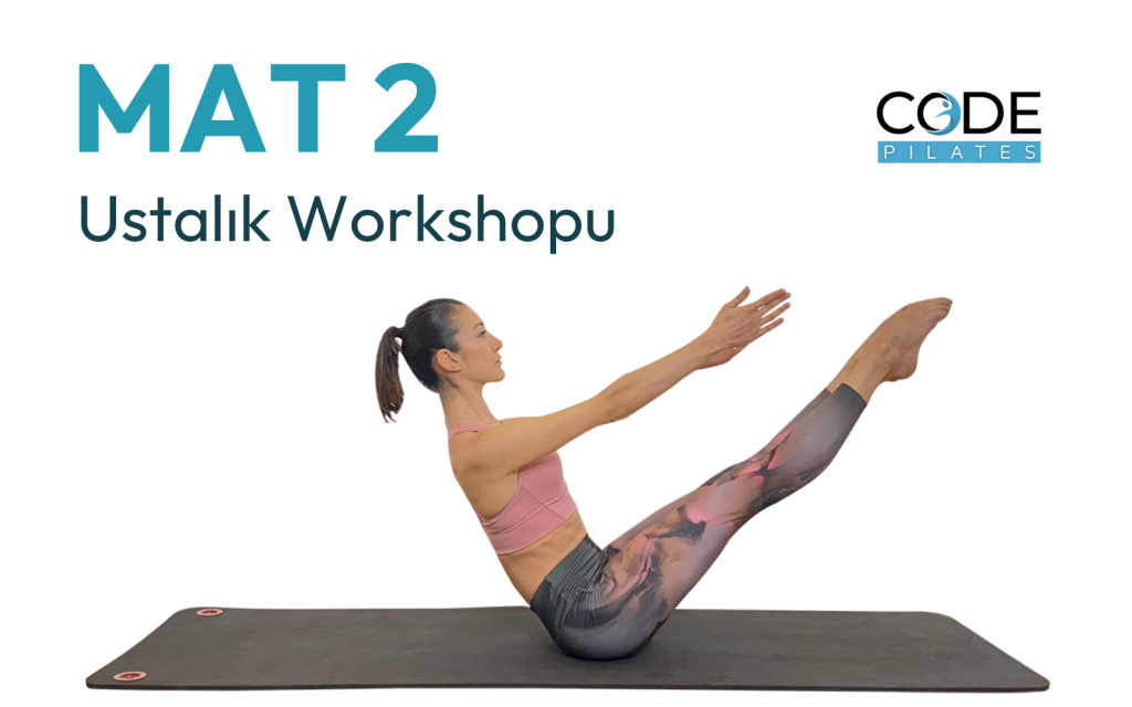 MAT 2 Mastery Workshop